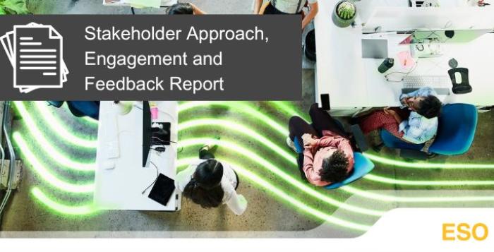 Stakeholder Approach, Engagement and Feedback Report