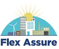 Flex Assure Logo DFS