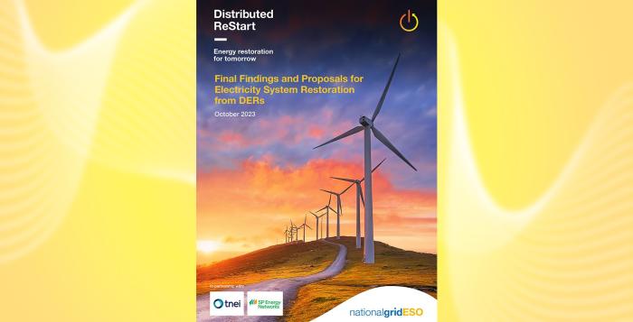 Distributed restart final findings report cover image
