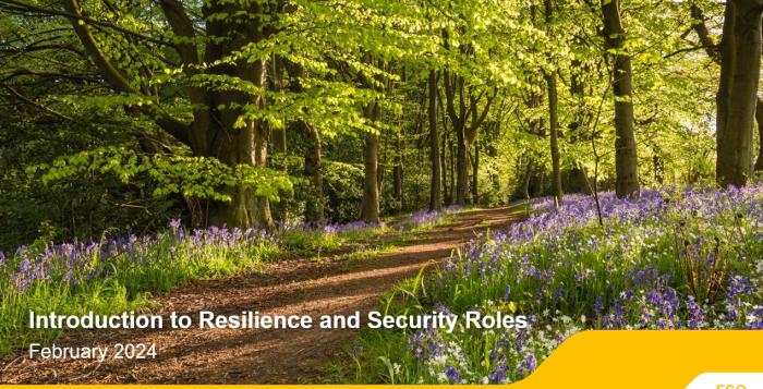 Introduction to Resilience and Security Roles