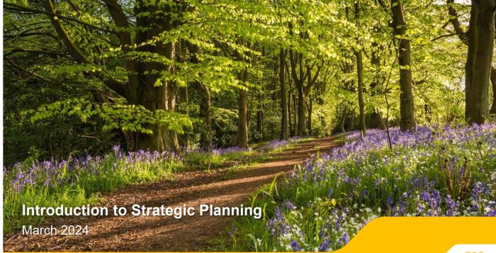 Introduction to Strategic planning