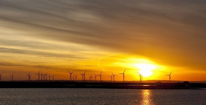 Wind farms and pylons against a sunset