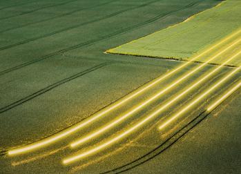 Field Glow Lines