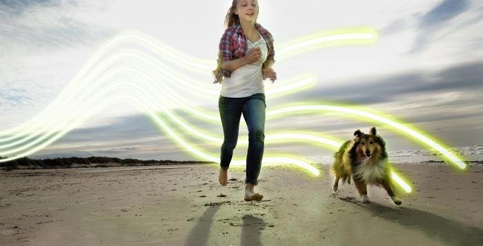 Girl training dog on beach with glowlines